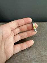 Load image into Gallery viewer, Golden Fish 2