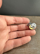 Load image into Gallery viewer, Golden lion #1