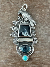 Load image into Gallery viewer, Raven collector