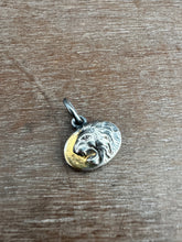 Load image into Gallery viewer, Golden lion #1