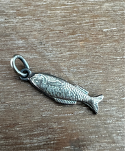 Load image into Gallery viewer, Silver Fish charm