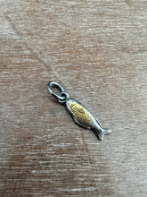 Load image into Gallery viewer, Golden Fish