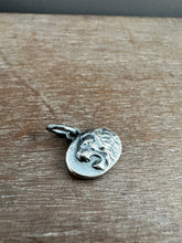 Load image into Gallery viewer, Silver lion
