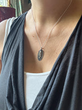 Load image into Gallery viewer, Silver Fish 3