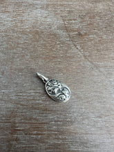 Load image into Gallery viewer, Water dragon #4