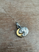 Load image into Gallery viewer, Golden lion #2