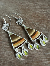 Load image into Gallery viewer, Lioness Brazilian Polychrome Jasper Earrings