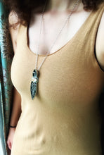 Load image into Gallery viewer, The Forest Floor