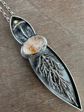 Load image into Gallery viewer, The Forest Floor