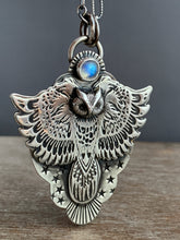 Load image into Gallery viewer, Night owl