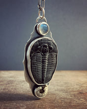 Load image into Gallery viewer, Fossil and moonstone pendant