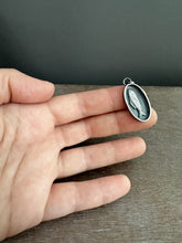 Load image into Gallery viewer, Silver Fish 1
