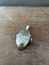 Load image into Gallery viewer, A Silver Fish Locket
