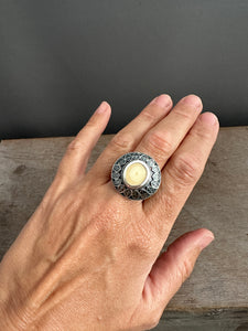 Fossilized Walrus Tusk Ring Size 8