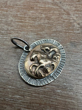 Load image into Gallery viewer, Hippocampus pendant 1
