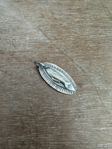 Silver Fish 2