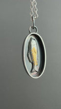 Load and play video in Gallery viewer, Golden Fish 6

