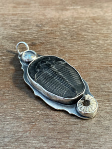 Fossil and moonstone pendant