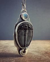 Load image into Gallery viewer, Fossil and moonstone pendant
