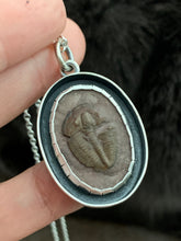 Load image into Gallery viewer, Trilobite Fossil Pendant
