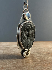 Fossil and moonstone pendant